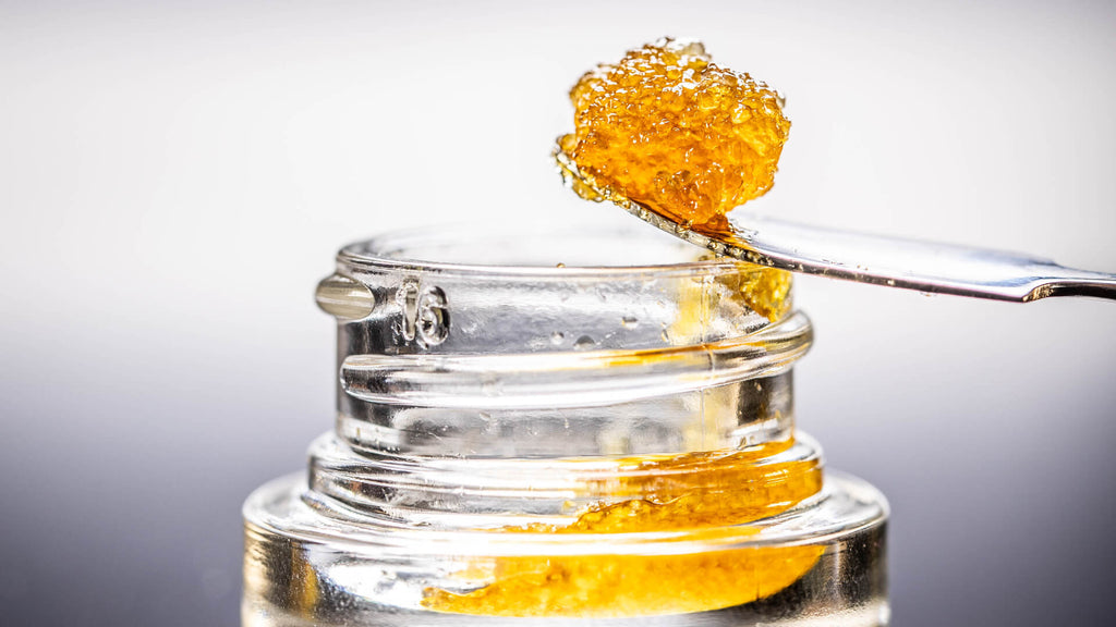 Live Resin vs Shatter: What's the better choice?