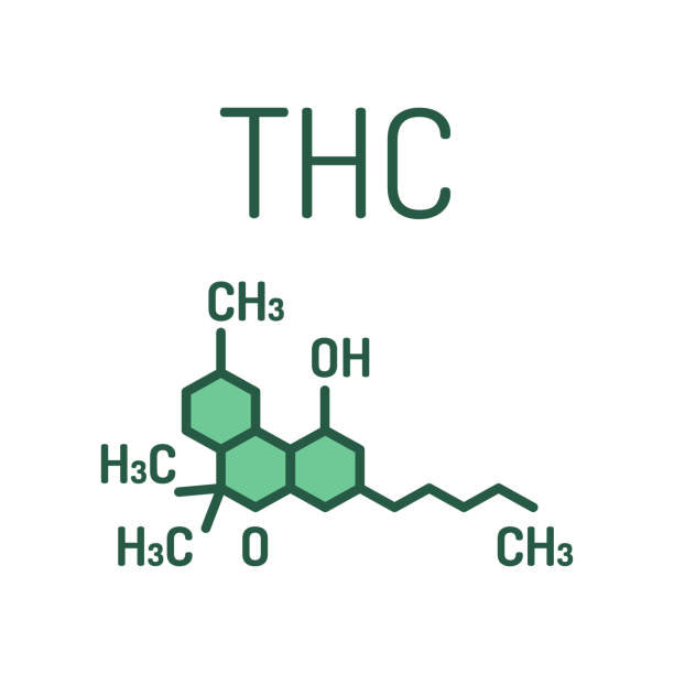 What is the Endocannabinoid System?