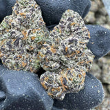 Purple Cream